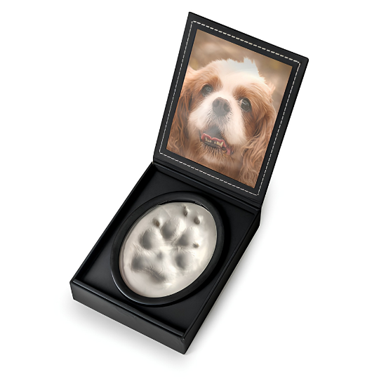 Clay pawprint impression in black presentation case with photo space, pet pawprint keepsake — Springfield Pet Cremation