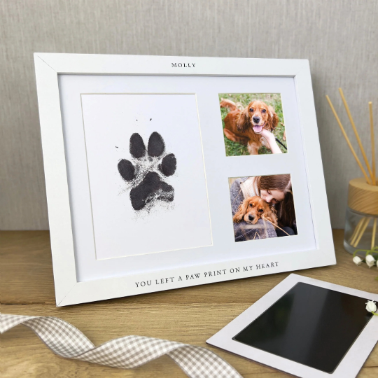 Ink pawprint in personalised photo frame, pet pawprint keepsake — Springfield Pet Cremation
