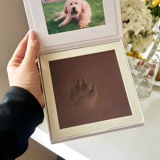 Foam pawprint impression in case with photo space, pet pawprint keepsake — Springfield Pet Cremation